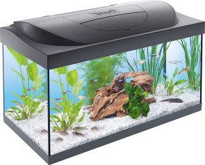 Aquarium Komplett-Set mit LED-Beleuchtung